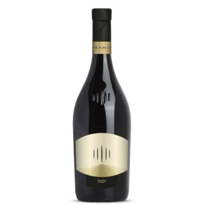 Alto Adige Chardonnay Riserva DOC Troy 2015 - Cantina Tramin - immagine 1