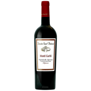 Ripasso Valpolicella"Famiglia Castagnedi" 2019 - immagine 1